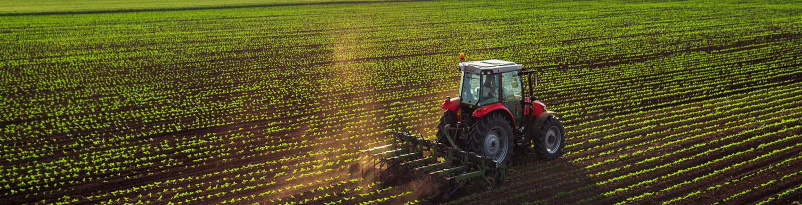 tractor on farm